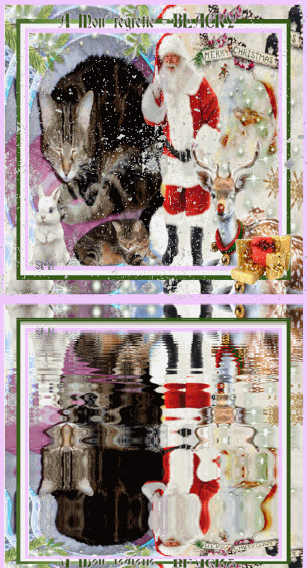 BLACKY-NOEL-gif