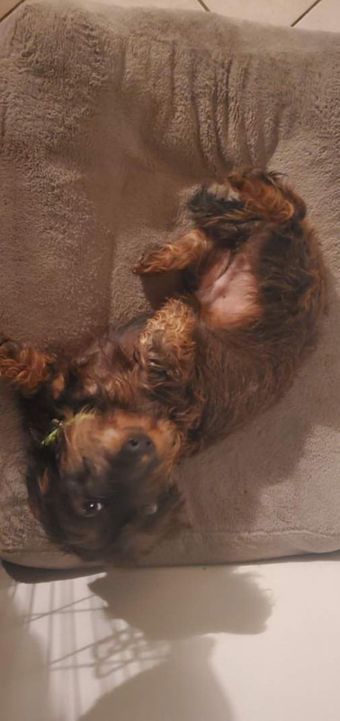 [Image: IMG-20241215-181730.jpg]