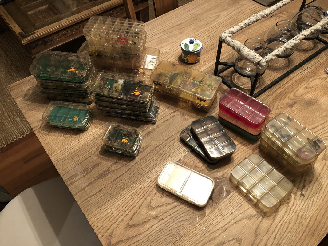 3C3B8114-4C58-40D9-9FF7-98D4A73F2458