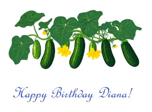 dianabdcard