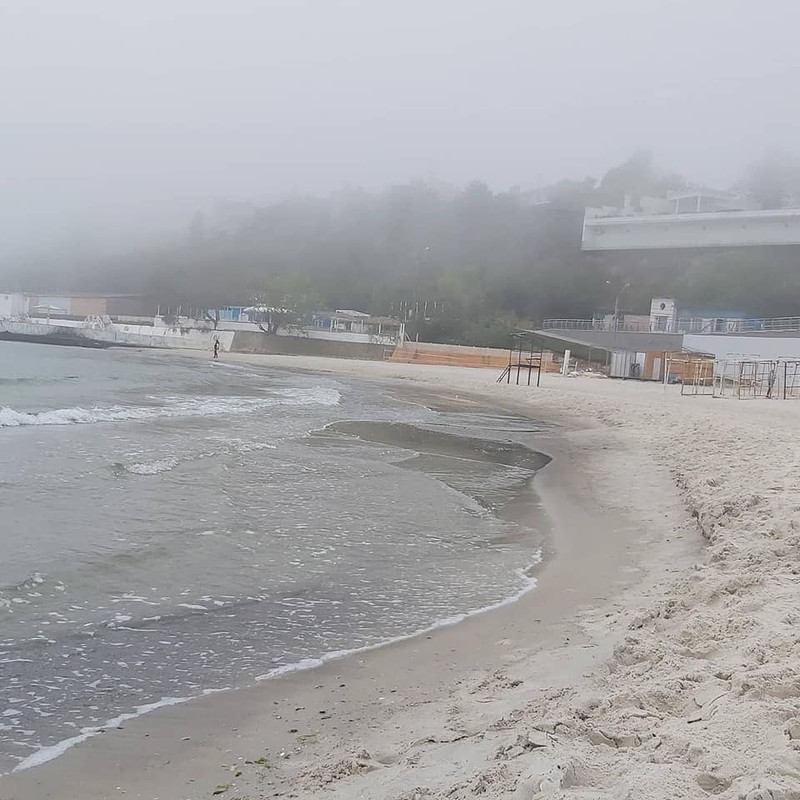 95708054_10221026435358244_6521031661352648704_n (1)