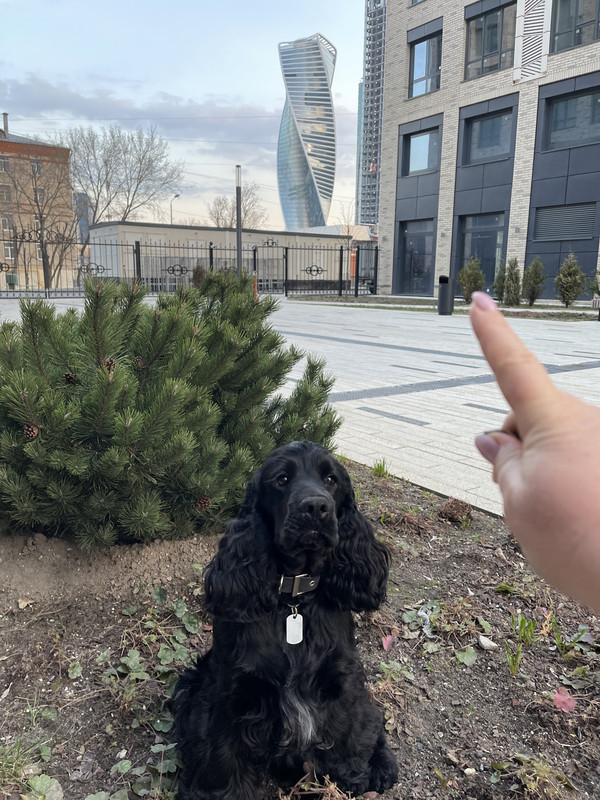 D53ADDC0-8384-4BB4-8329-7EBCB994D8F8