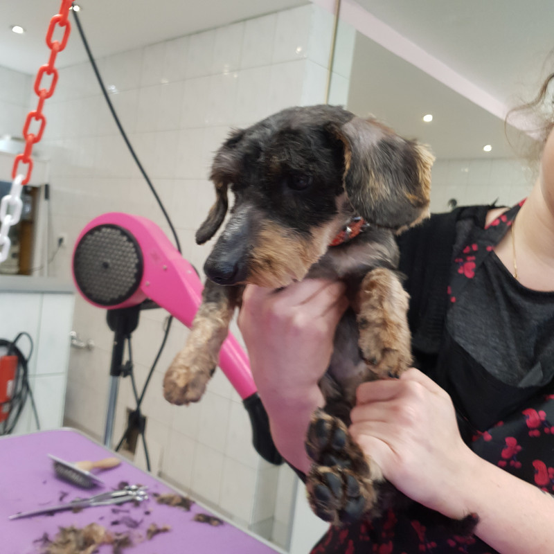 [Image: 20210108-153818.jpg]