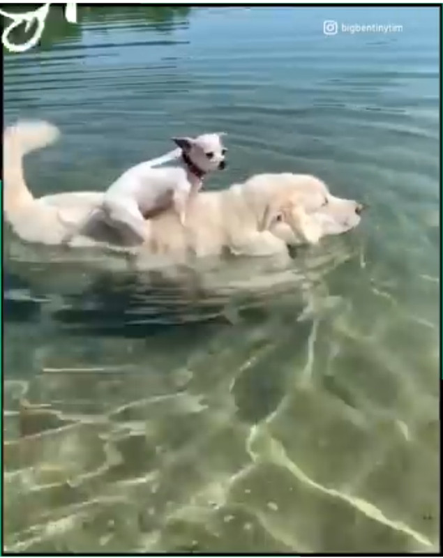 Screenshot-2021-06-18-12-43-34-886-com-a