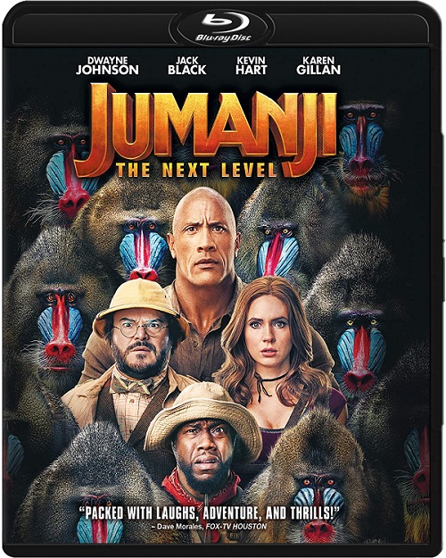Jumanji: Następny poziom / Jumanji: The Next Level (2019) MULTi.1080p.BluRay.x264.AC3.DDP7.1-DENDA / LEKTOR, DUBBING i NAPISY PL