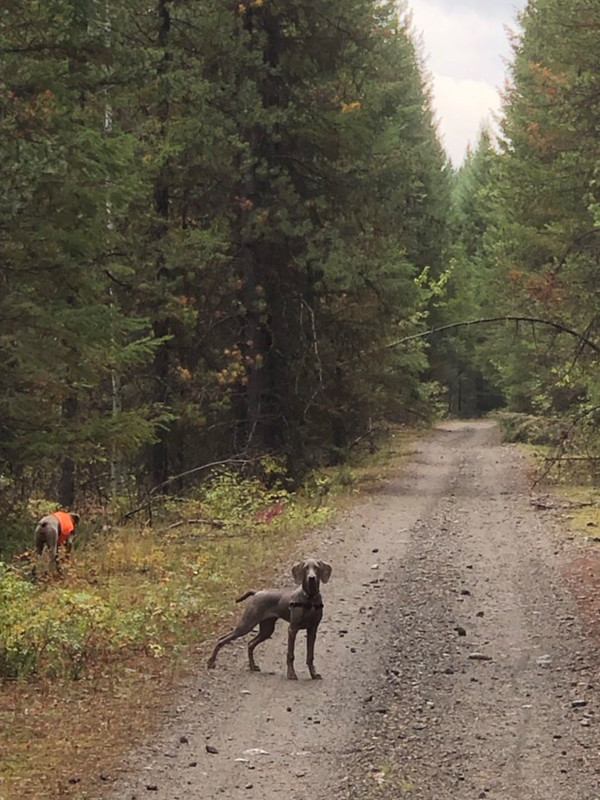 2E3E6A78-F20C-401F-A3A5-04C67C6D3CC5