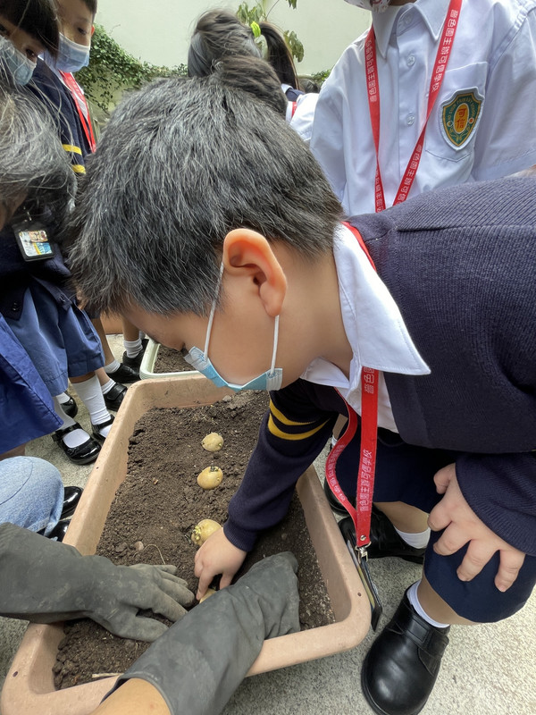 photo-littlefarmer2223-1B-010