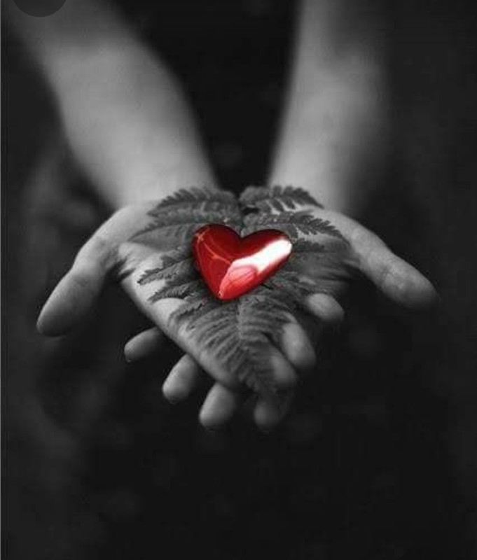 Screenshot_20240122_220823_Pinterest