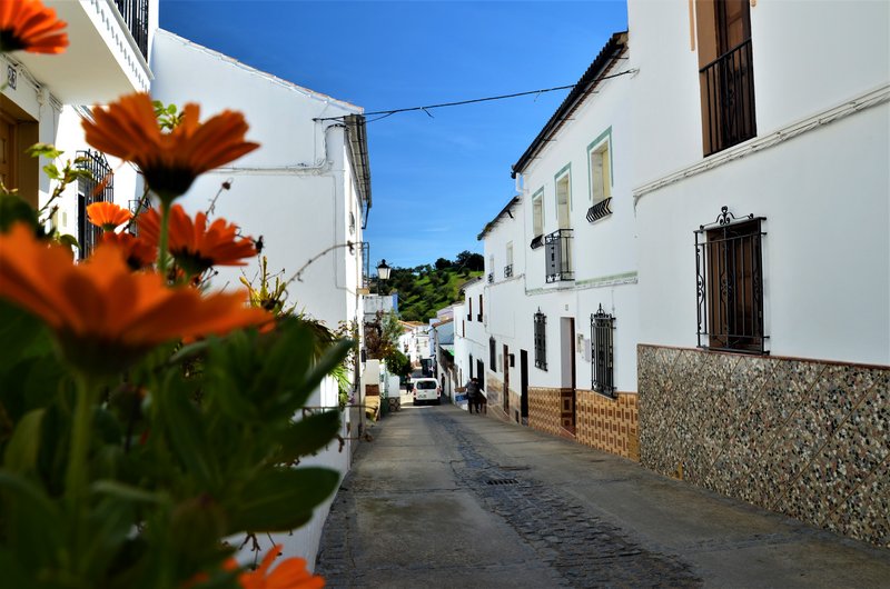 CADIZ Y SUS PUEBLOS-2017 - Blogs of Spain - SETENIL DE LAS BODEGAS-7-3-2017-CADIZ (97)