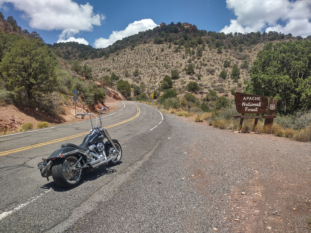 IMG_20250704_120735946_HDR