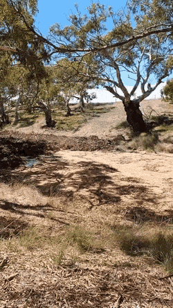 GIFs-13