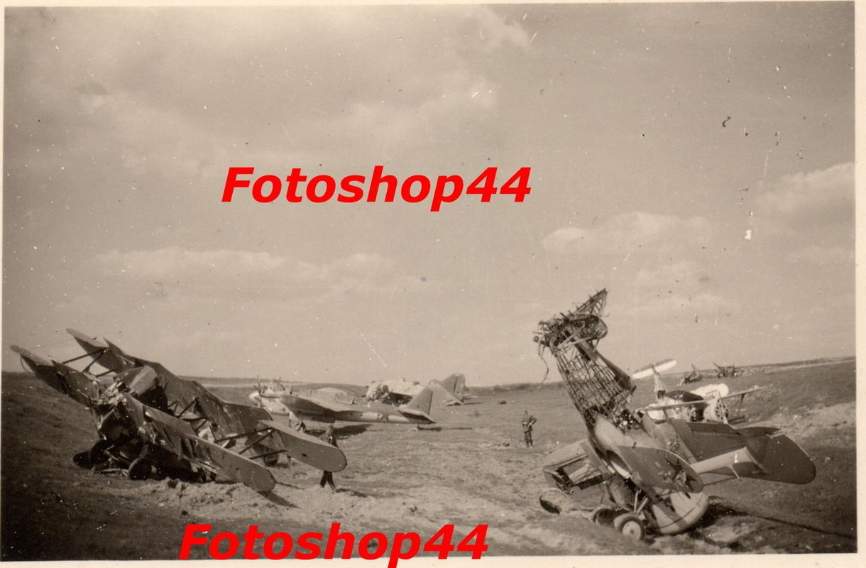 D428 — Postimages