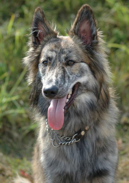 DB2BB419-B497-45CF-AC1E-EC76BE4FB83D