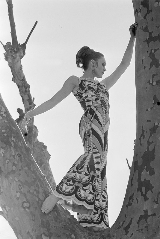 francoise_dorleac_zb20