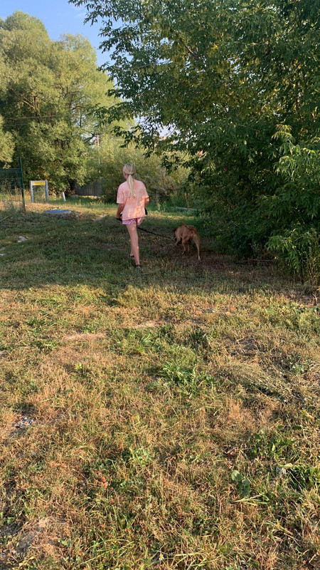 EDBE3654-786C-4762-9B9D-6F7070A6C9E6