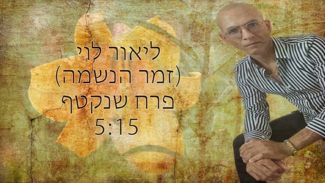 תמונה