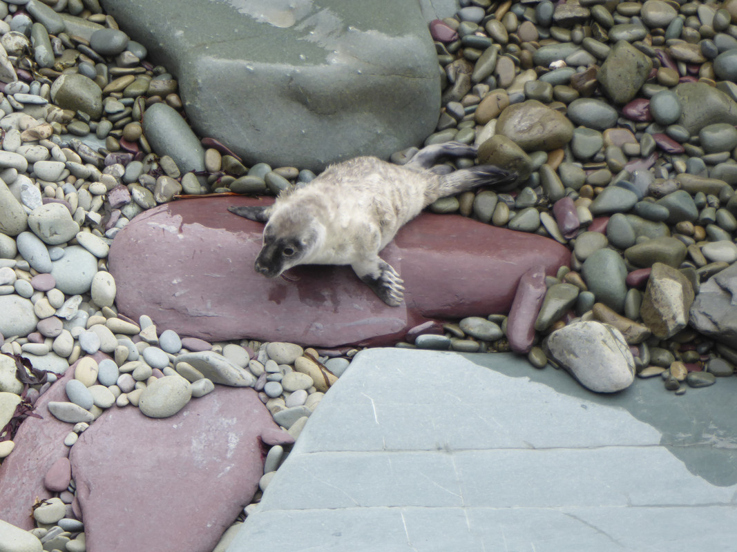 B548CCAA-9414-4FB6-8CB3-5B51A7EE327A