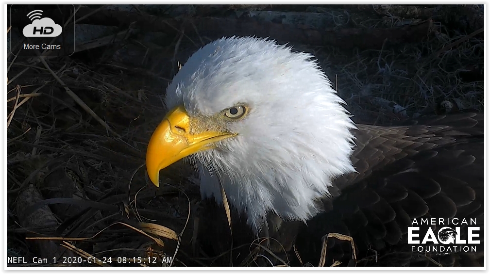 Screen Shot 01-24-20 at 02.16 PM