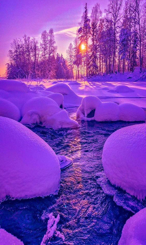 purplesnowandice.jpg