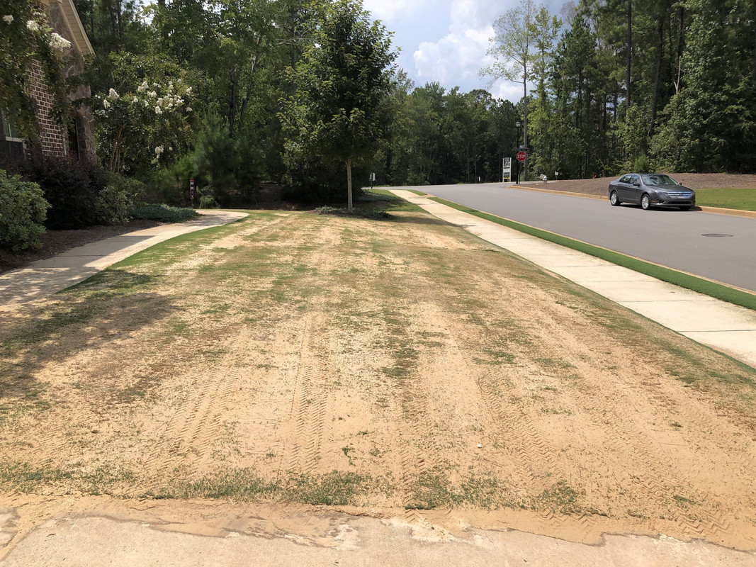 2C875915-E3E8-4B32-9E47-3BB73B0D912A