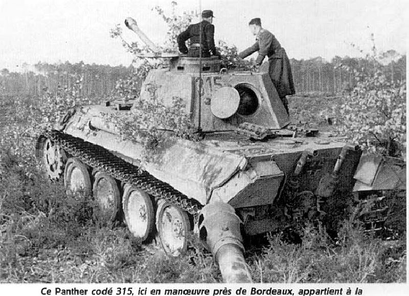 2SSPantherD315BordeuxML-2