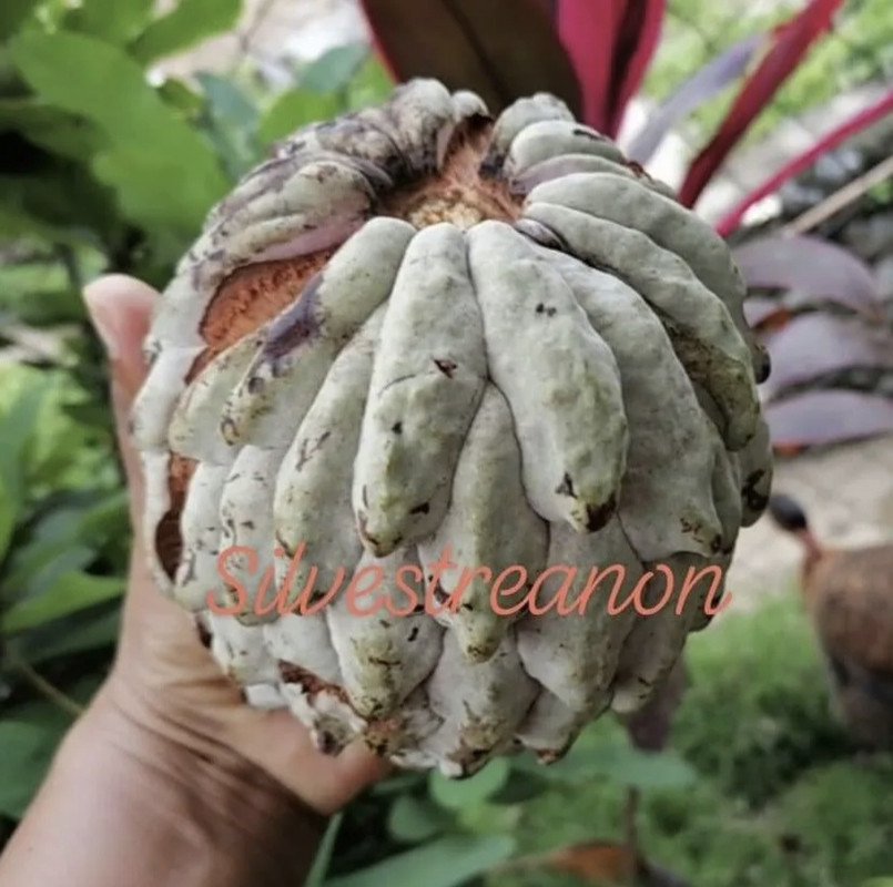 E35B612C-8D9F-4EB2-A579-91B5C141ABE9