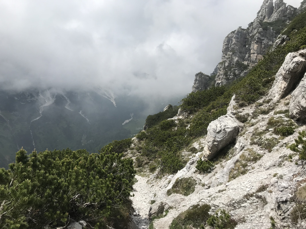 727DAA6A-2C7E-4DCB-ABA0-A73CAF2CF916