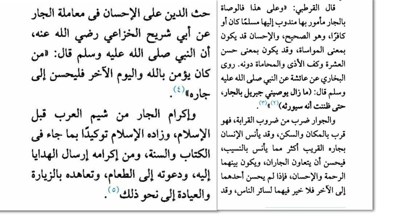 InCollage_20250305_022855550