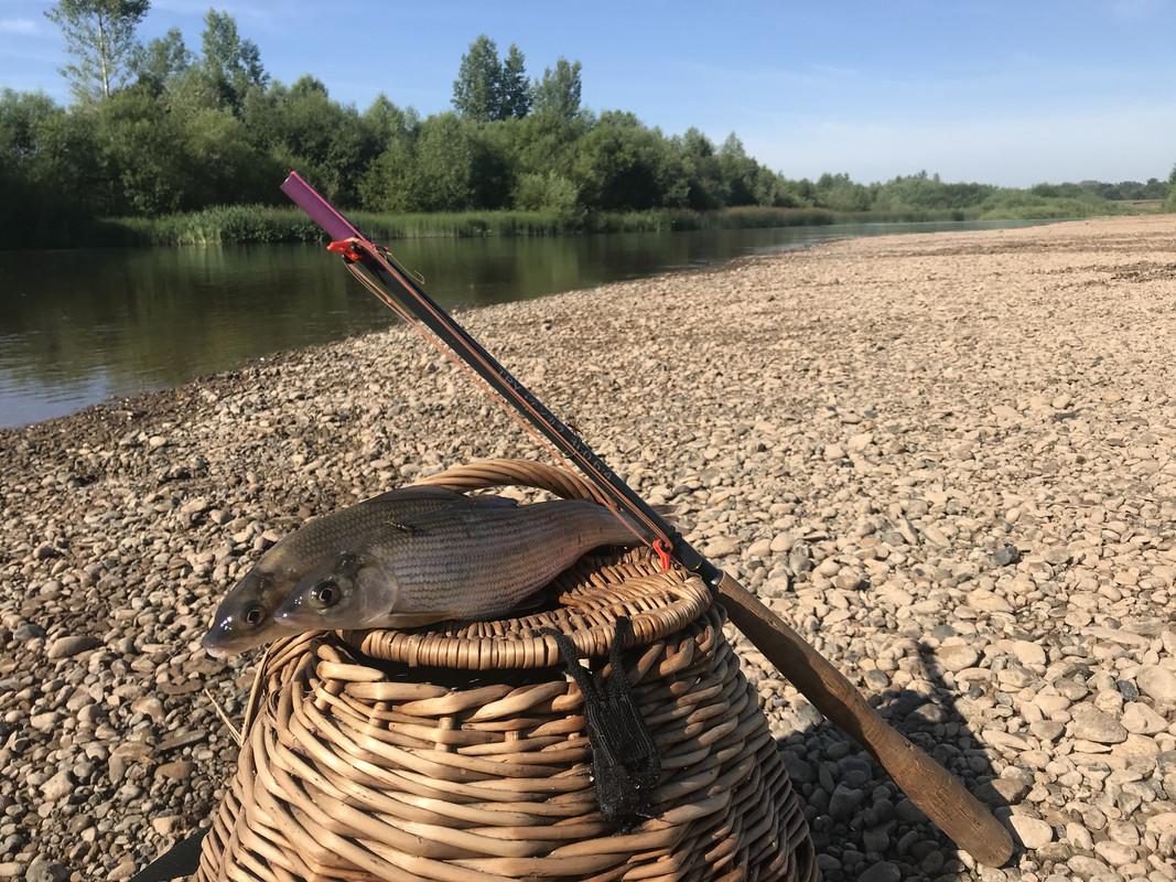 9F9B7390-FB83-4B50-A22B-019501DD48D8