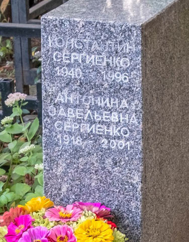 sergienko-konst1a