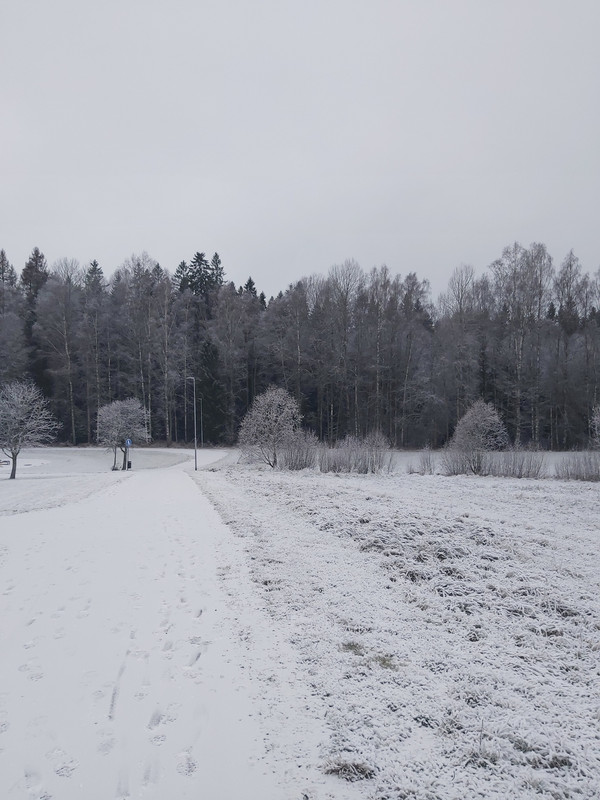 20201129_094657