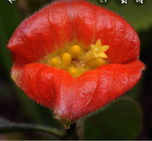 [Image: Screenshot-20200217-113624-Photos.jpg]