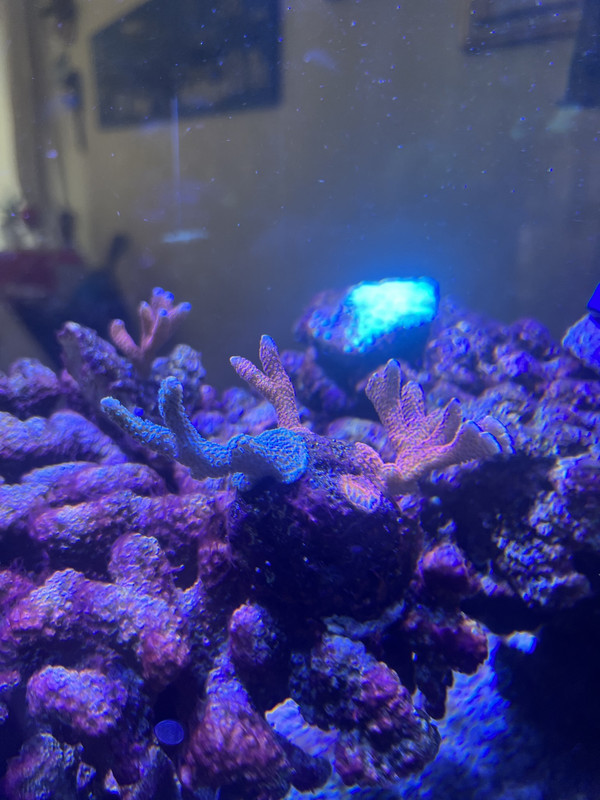 DA2375B8-1A33-4CEB-AC0C-4F0E06324972