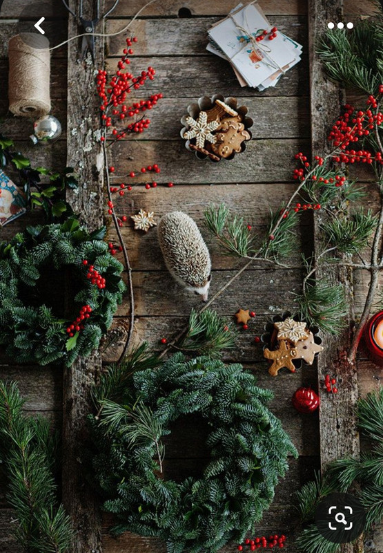 Screenshot_20230616_234019_Pinterest