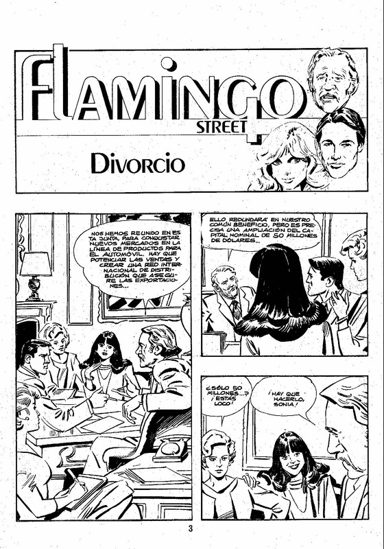 FLAMINGO-ST-0001.jpg