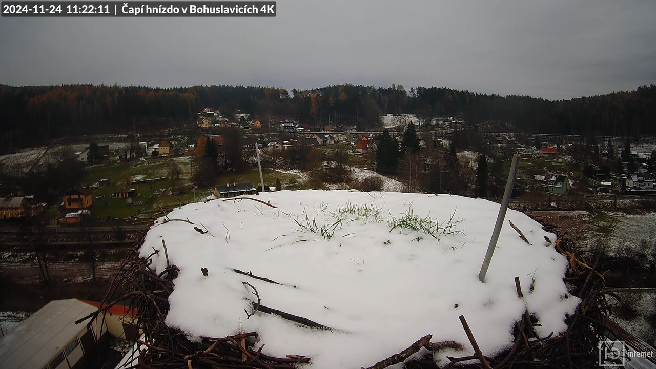 Živě z čapího komína firmy KARA v Bohuslavicích u Trutnova 8-36-40 screenshot (1)