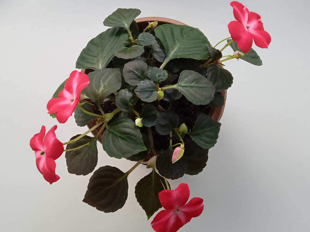 IMG_20230310_174413 (1)