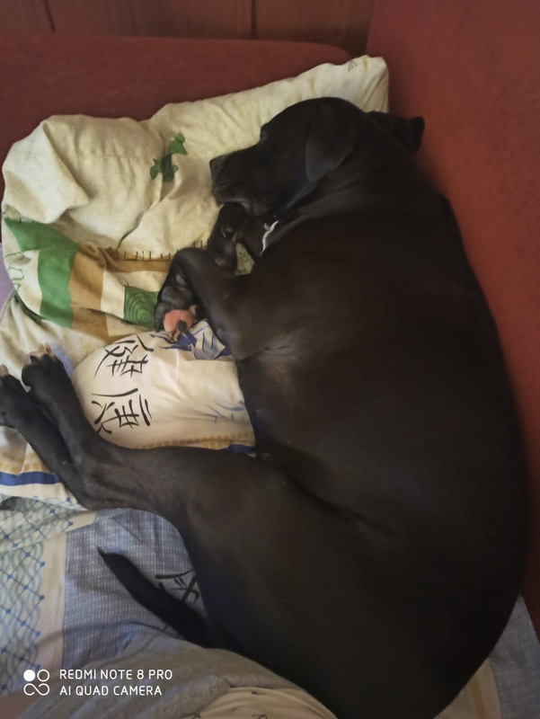 19F198D1-0705-4C8B-BA35-452685F5DF50