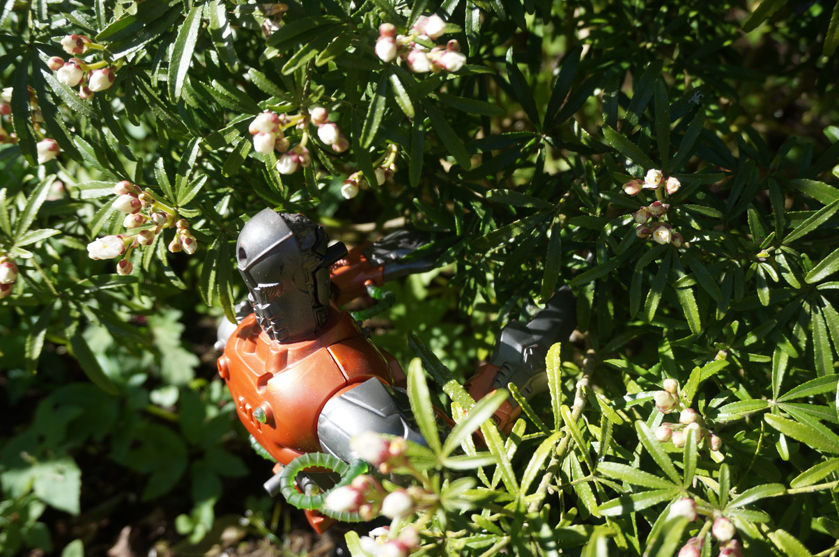 Toxic robot pruning trees and bushes. AFC1-B7-FB-5502-4517-B00-D-B0-BA5-A1329-B7