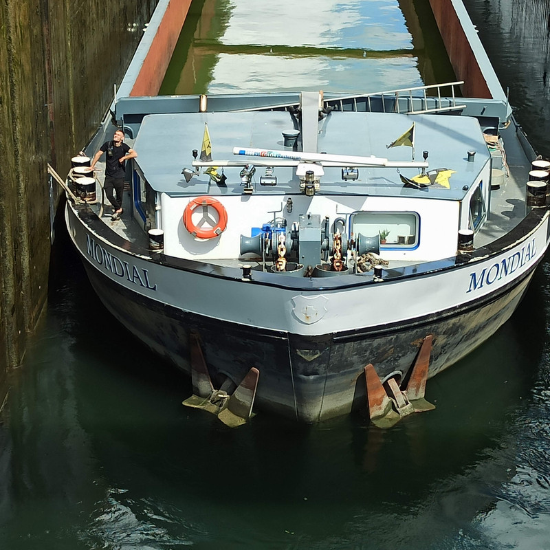 2022.06.11 RHK Mondial 01 (1940x1940)