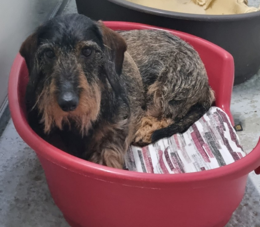 [Image: 20220126-165004.jpg]