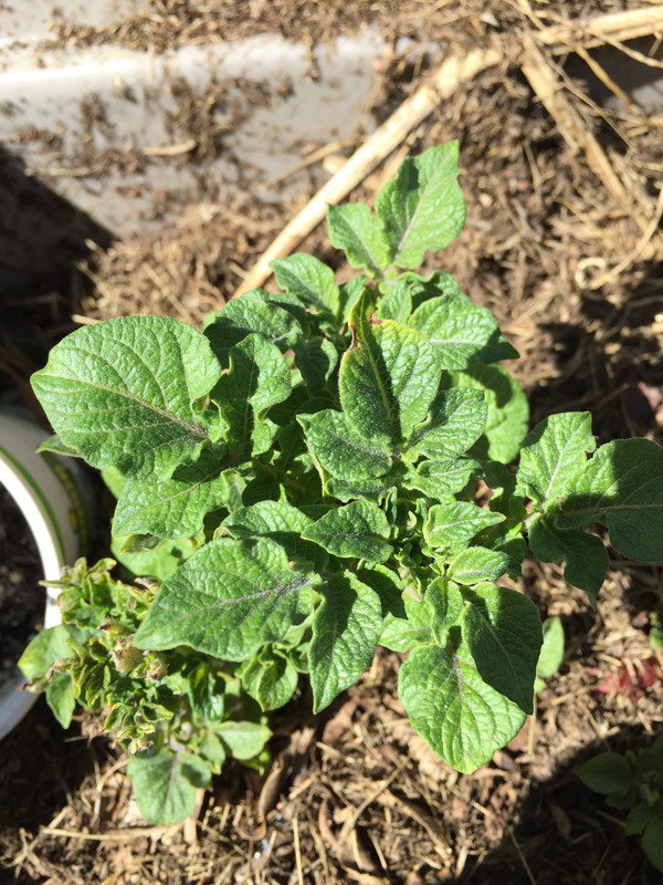 C92B05F0-C231-4D49-84E1-D3C83C567360