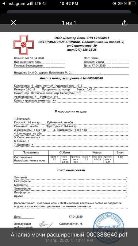 07190024-D195-466F-B515-31158ABA0C5C