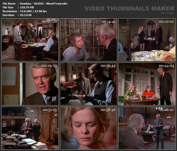 Hawkins - S01E05 - Blood Feud.mkv