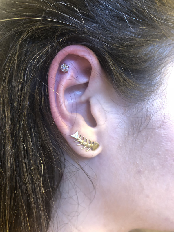 077A88F4-2870-4892-B5C0-552F88952215