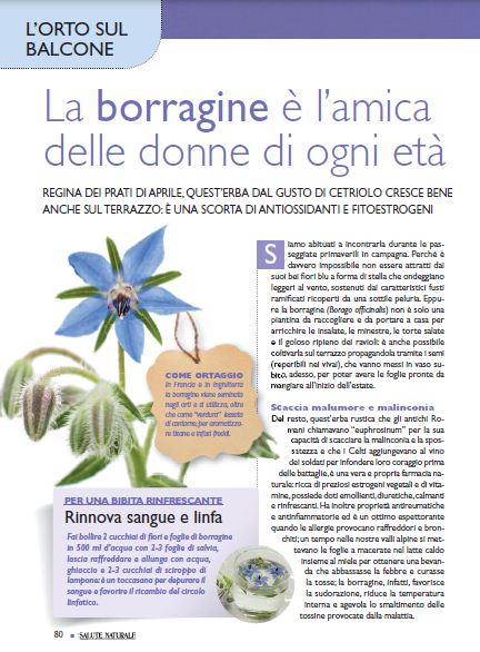 Salute Nat Apr 2020 (9)