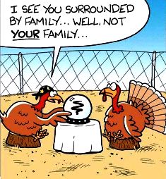 Funny-Turkey-Image-2