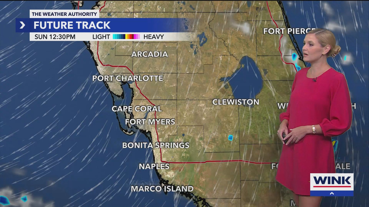 WINK News at 11_20240922_04000500.ts_snapshot_00.15.38.671