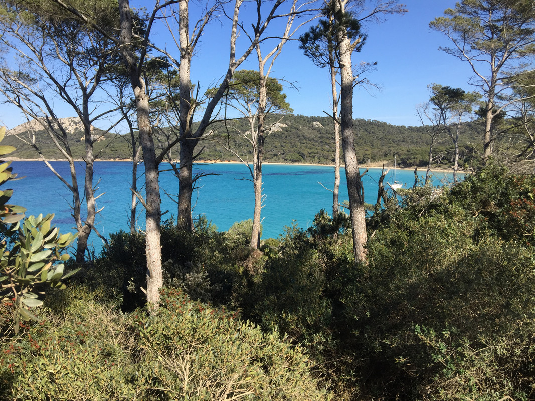 87C2C0F6-C261-4C82-8ED1-08C8B118E902