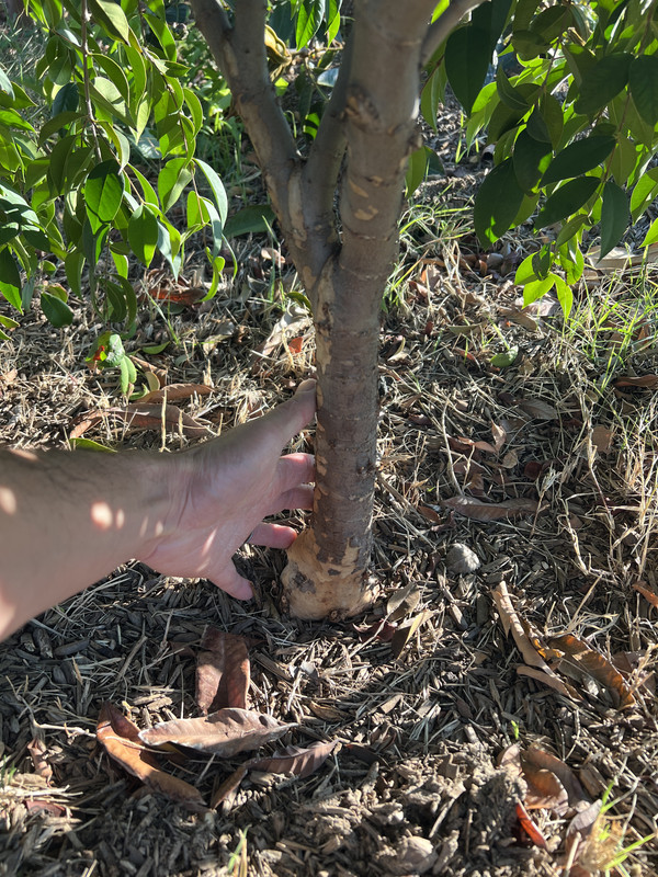 BFC52A02-BB47-488A-98C6-87EB525BB286